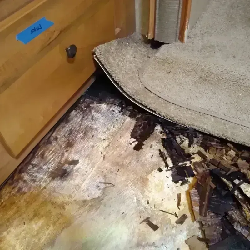 Best Wood Floor Water Damage Service in Markle, IN